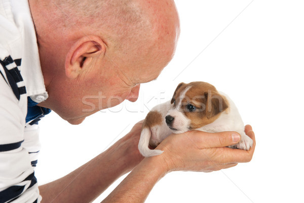 Stockfoto: Cute · puppy · handen · man · hand