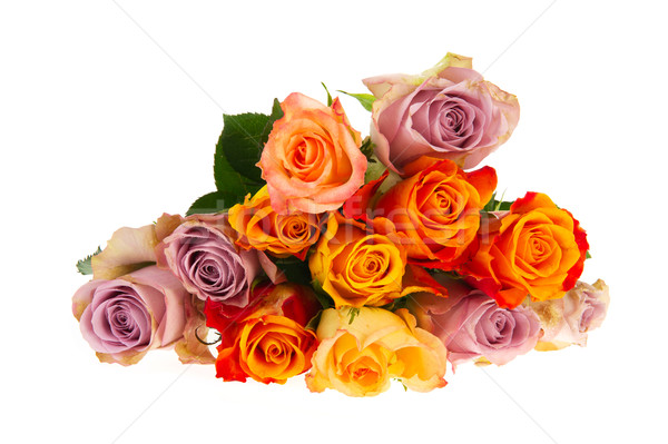 Сток-фото: букет · роз · различный · цветами · красочный · изолированный