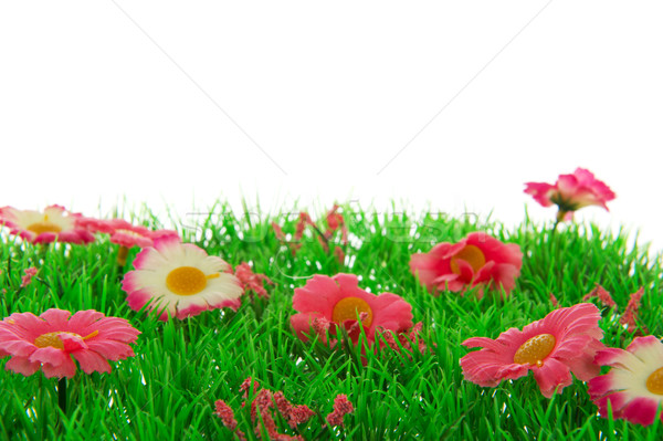 Erba fiori erba artificiale rosa bianco estate Foto d'archivio © ivonnewierink