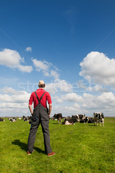 Typical Dutch landscape with farmer and cows Stock photo © ivonnewierink