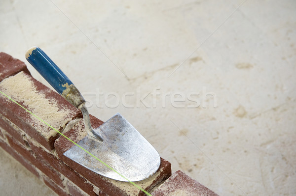 Throwel and bricks with copy space Stock photo © ivonnewierink