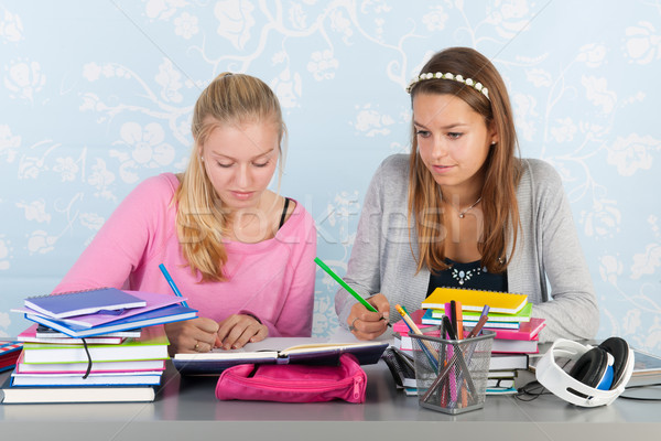 Foto stock: Dos · adolescente · ninas · deberes · junto