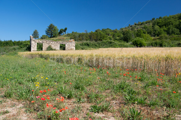 Ruin of a house in France Stock photo © ivonnewierink