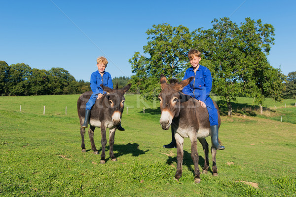 Foto stock: Granja · ninos · equitación · verano · animales · nino