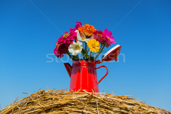 Bouquet flowers in summer Stock photo © ivonnewierink