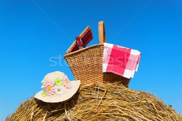 Piknik sepeti yaz şarap şapka zaman şişe Stok fotoğraf © ivonnewierink
