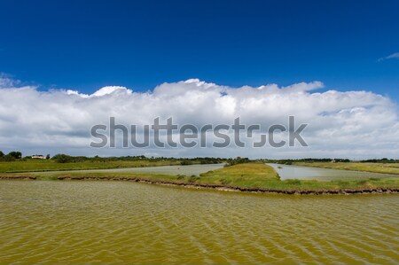 Salt lake at French Oleron island Stock photo © ivonnewierink
