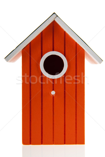 Arancione uccello casa isolato bianco primavera Foto d'archivio © ivonnewierink