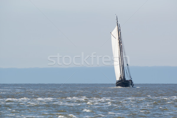 Clipper on Dutch wadden sea Stock photo © ivonnewierink