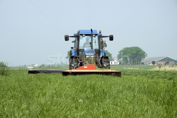 mowing the grass Stock photo © ivonnewierink