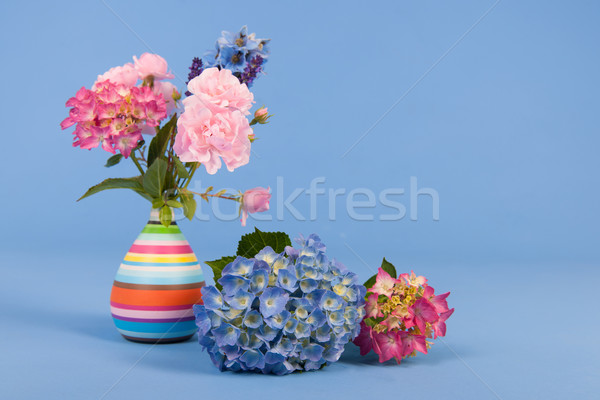 Flowers on blue background Stock photo © ivonnewierink