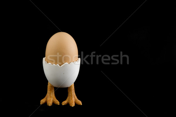 Stock photo: Birdfeet with egg