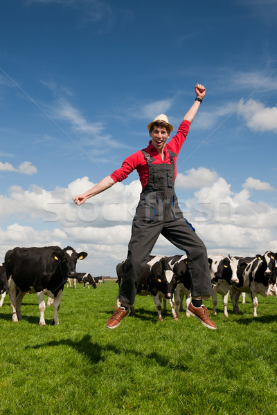 Сток-фото: счастливым · фермер · области · коров · молодые · прыжки