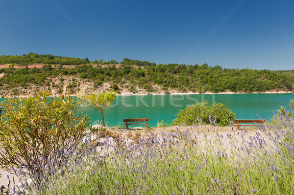 Romantic lake Stock photo © ivonnewierink