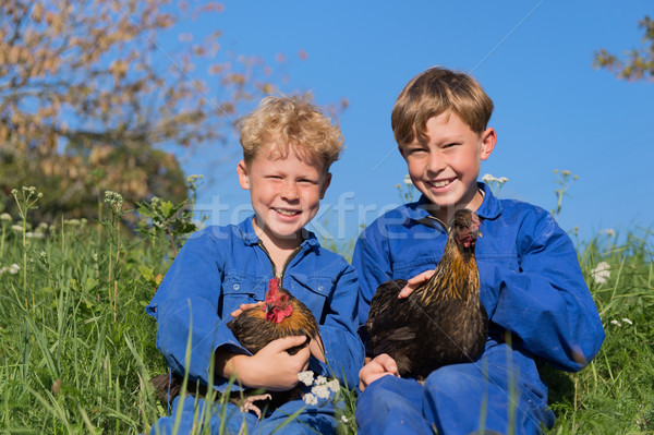 Farm Boys with chickens Stock photo © ivonnewierink