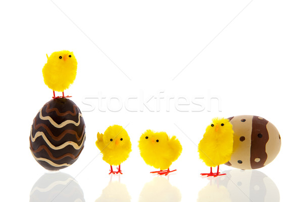 巧克力 雞蛋 小雞 復活節 孤立 白 商業照片 © ivonnewierink