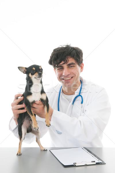 veterinarian having fun with dog Stock photo © ivonnewierink