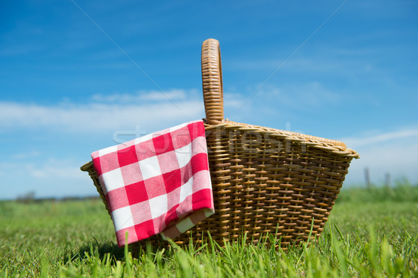 Cesta de picnic naturaleza hierba aire libre verano campo Foto stock © ivonnewierink