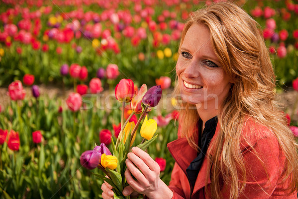 Сток-фото: голландский · девушки · области · тюльпаны · портрет