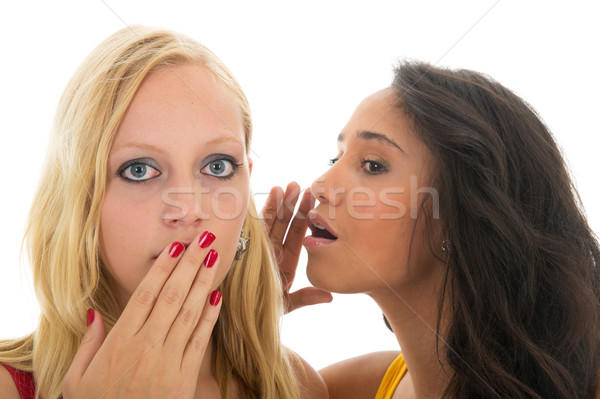 Bianco nero ragazze pettegolezzi due parlando segreti Foto d'archivio © ivonnewierink