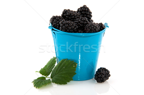 Blackberries Stock photo © ivonnewierink