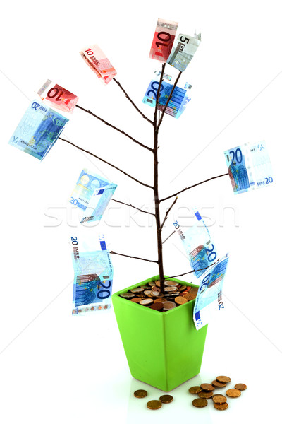 Stock photo: Money tree