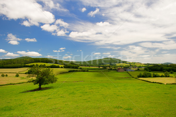 Wide landscape in French Bourgogne Stock photo © ivonnewierink