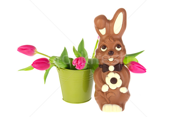 Chocolate easter hare Stock photo © ivonnewierink