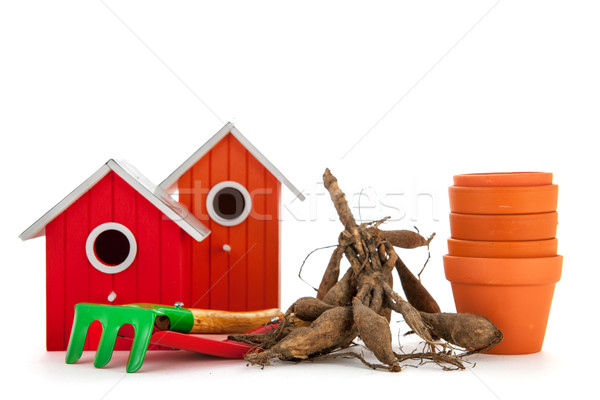 Gardening equipment Stock photo © ivonnewierink