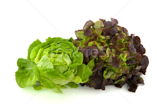Salat Sortiment rot Eiche Blätter Essen Stock foto © ivonnewierink