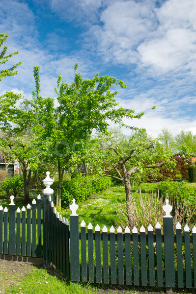 Nederlands tuin vruchten bomen typisch houten Stockfoto © ivonnewierink