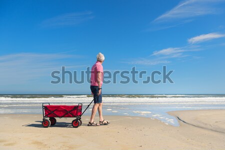 Senior man walking with dog at beach Stock photo © ivonnewierink