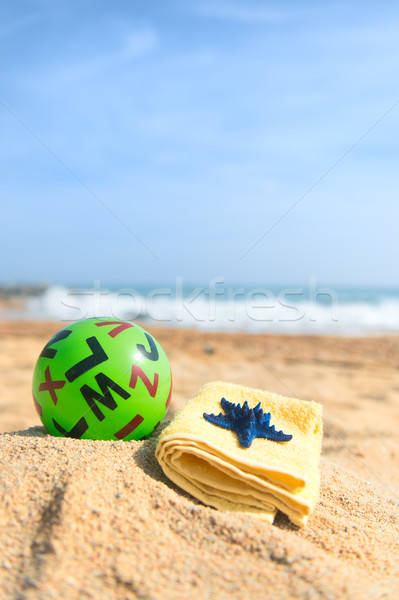 Green bal at the beach Stock photo © ivonnewierink
