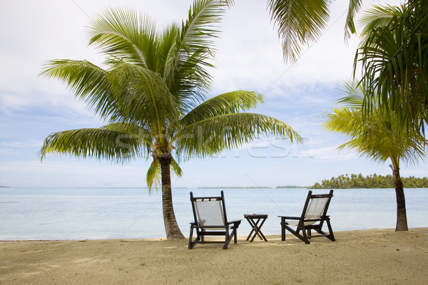 tropical beach Stock photo © ivonnewierink