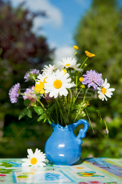 Wild flower bouquet Stock photo © ivonnewierink