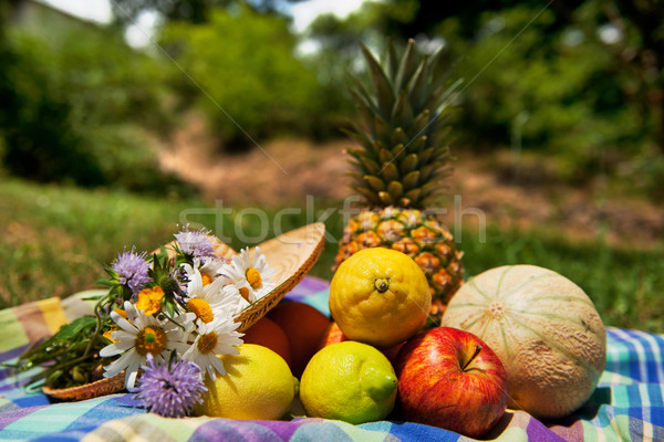 Proaspăt fructe de vara în aer liber natură natura moarta alimente Imagine de stoc © ivonnewierink