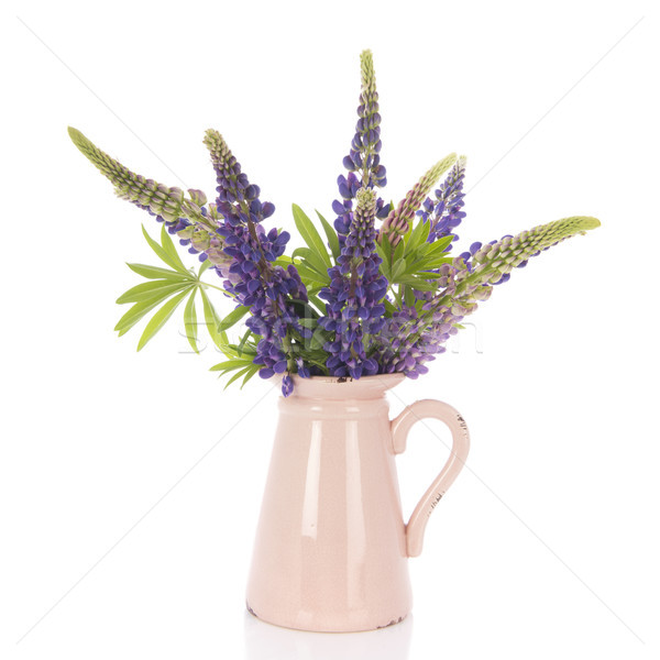 Pourpre vase isolé blanche bouquet Photo stock © ivonnewierink