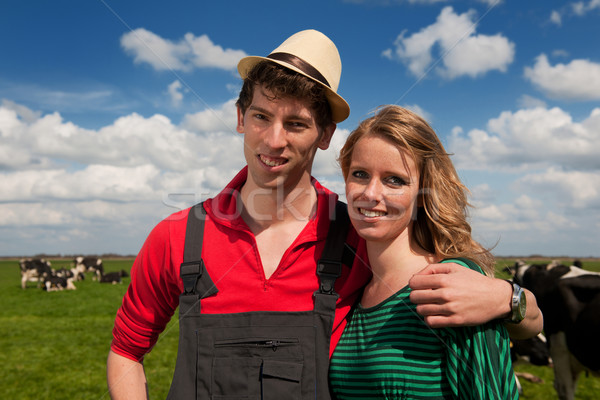 ストックフォト: 典型的な · オランダ語 · 風景 · 農家 · カップル · 牛