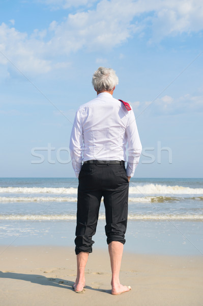 Business man at the beach Stock photo © ivonnewierink