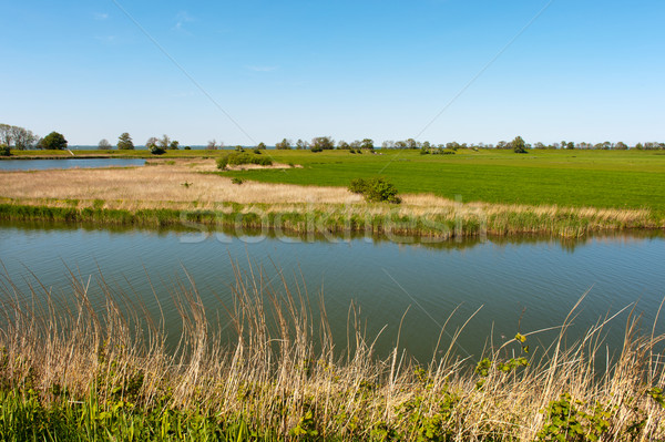 Typical Dutch landscape Stock photo © ivonnewierink