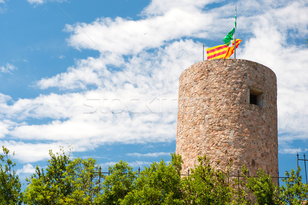 Catalan tower Stock photo © ivonnewierink