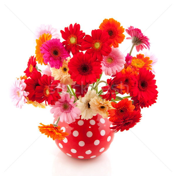 Renkli kırmızı vazo buket doğum günü yaz Stok fotoğraf © ivonnewierink