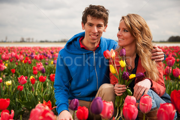 Stock foto: Blume · Felder · farbenreich · Tulpen