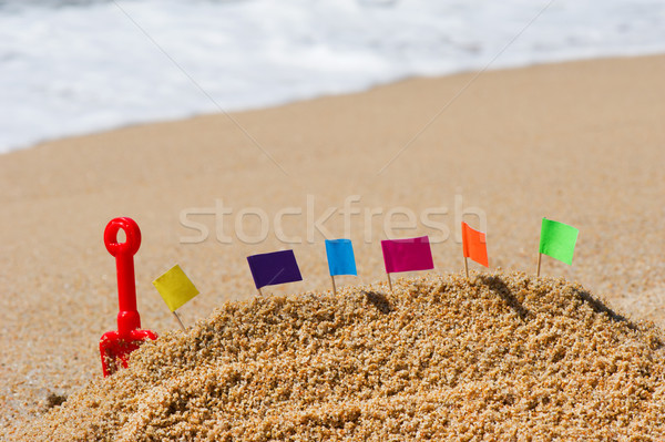 Sand castle at beach Stock photo © ivonnewierink