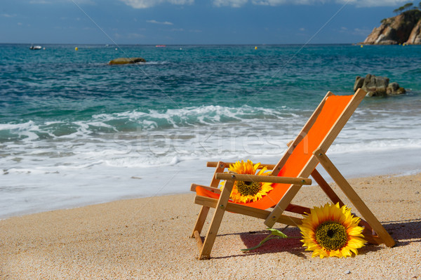 Empty beach chair Stock photo © ivonnewierink