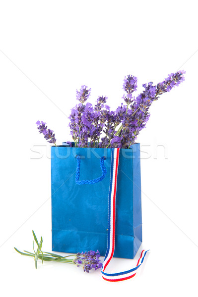 French lavender Stock photo © ivonnewierink