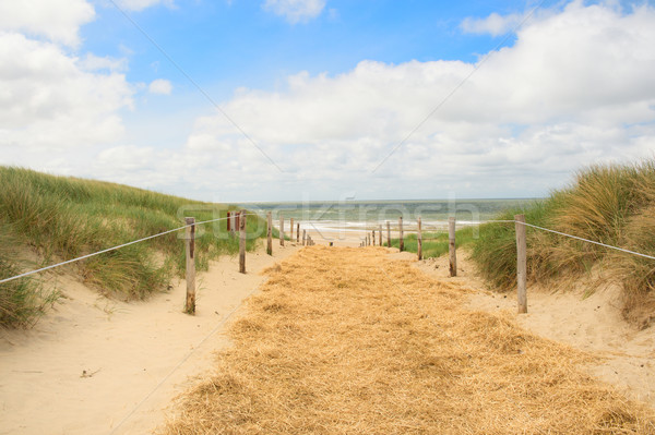 Beach and dunes on Dutch Texel Stock photo © ivonnewierink