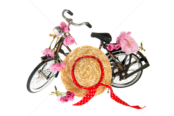 Weiblichen Sommer Fahrrad Blumen hat Stock foto © ivonnewierink