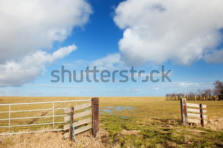 Stock photo: Typical Dutch empty landscape