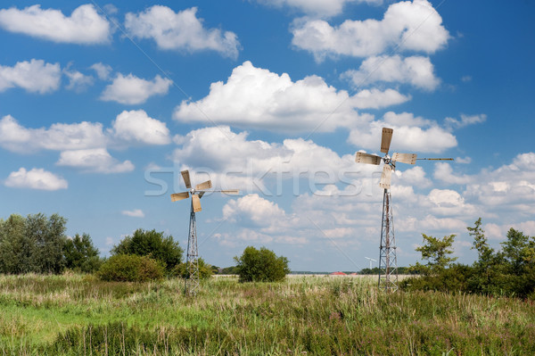 Windmills in summer landscape Stock photo © ivonnewierink